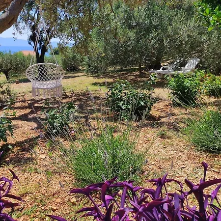 Апартаменты Robinzon Lantana Gdinj